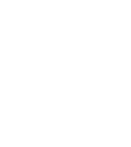 Microsoft Code For Honour Winner for 'Best Government Enablement Solution'-2014 